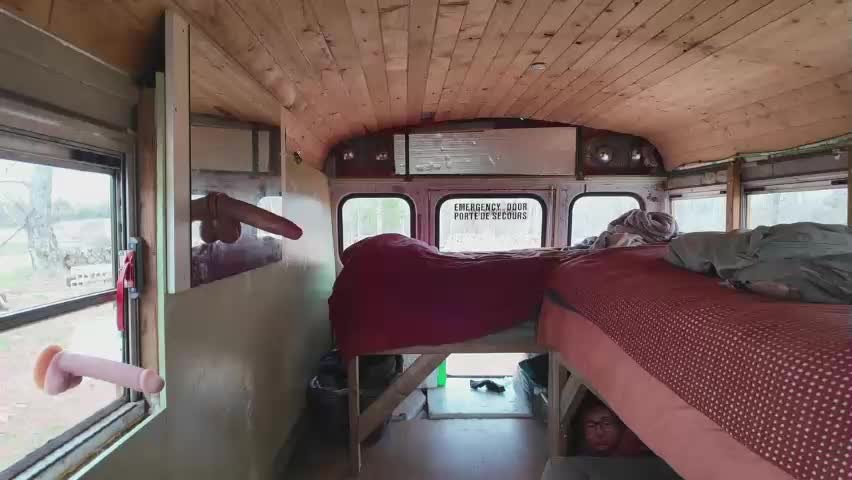 busbuddies Live Sex May 1, 2026