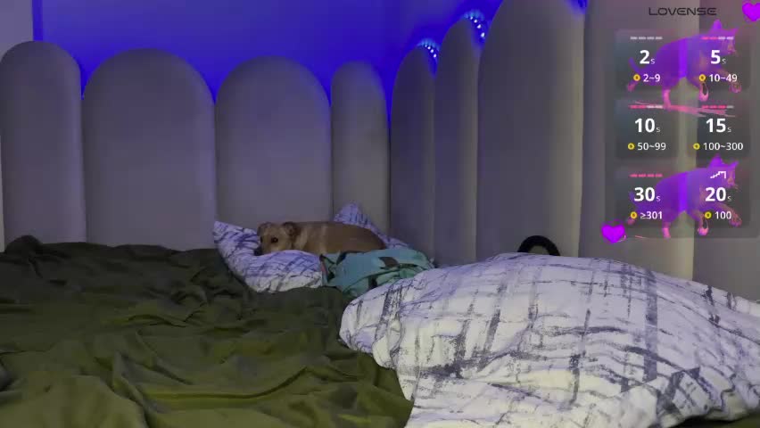 ms_ditaa Live Sex May 1, 2026