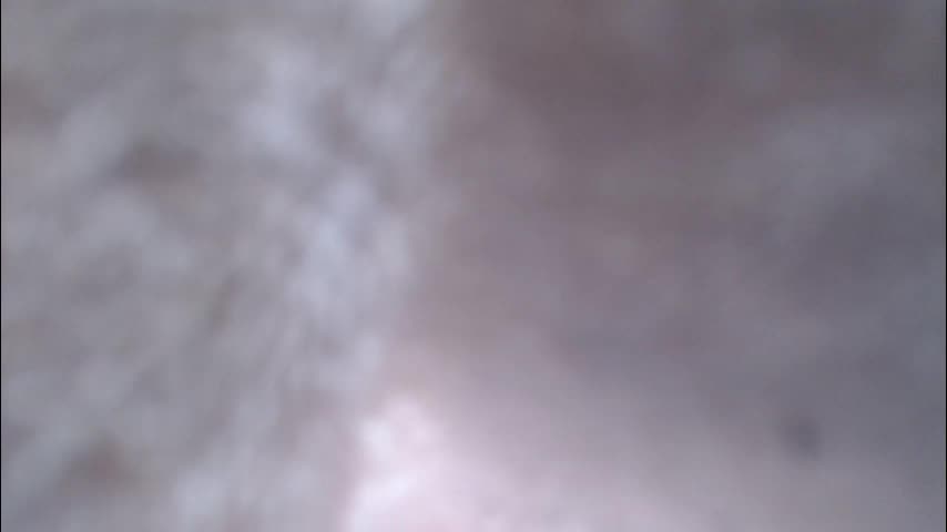 _burberry_ Live Sex May 2, 2026