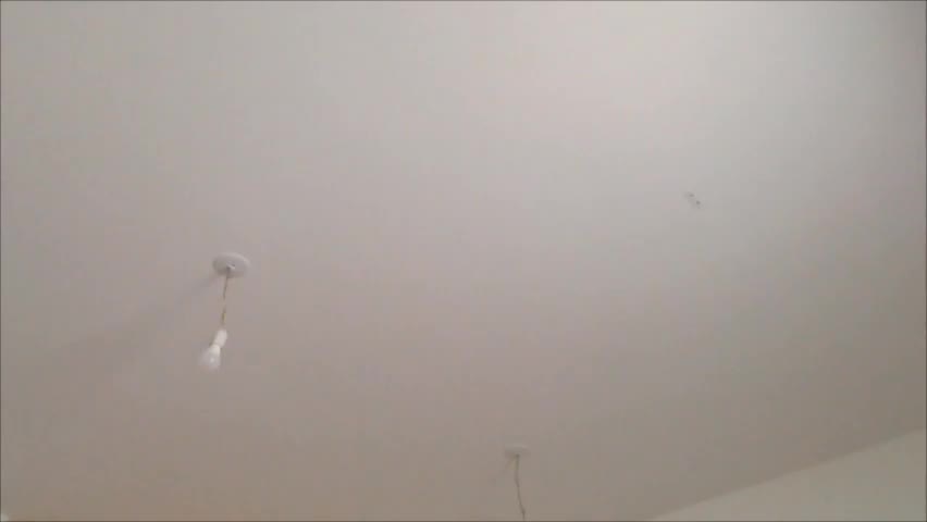 miradiaz Live Sex May 2, 2026