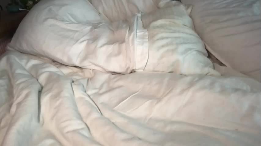 churchgirl888 Live Sex May 2, 2026