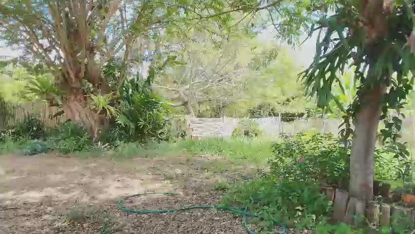paoguerrax354 Live Sex May 2, 2026