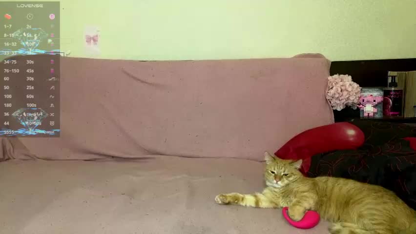 kittywithyou Live Sex May 6, 2026