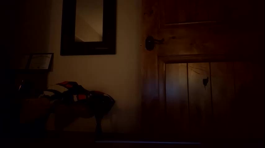 moonlight1106 Live Sex May 13, 2026