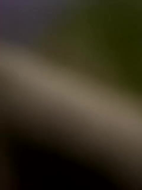 15xatorik15 Live Sex May 15, 2026