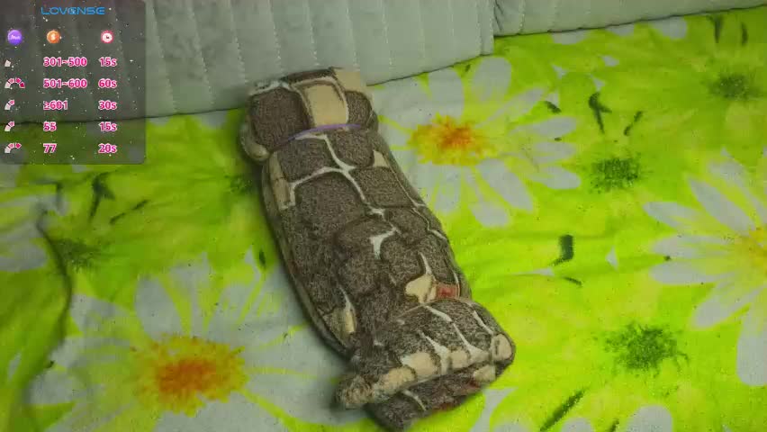 cherrypepperkiss Live Sex May 16, 2026