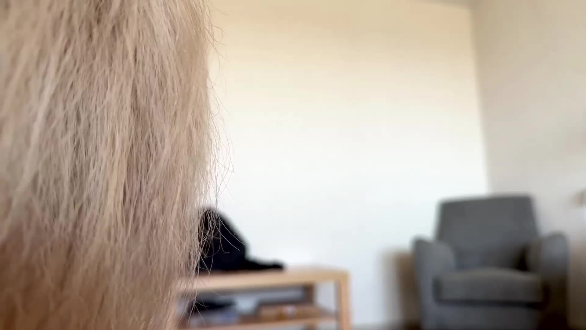 k1tty-cute Live Sex May 17, 2026