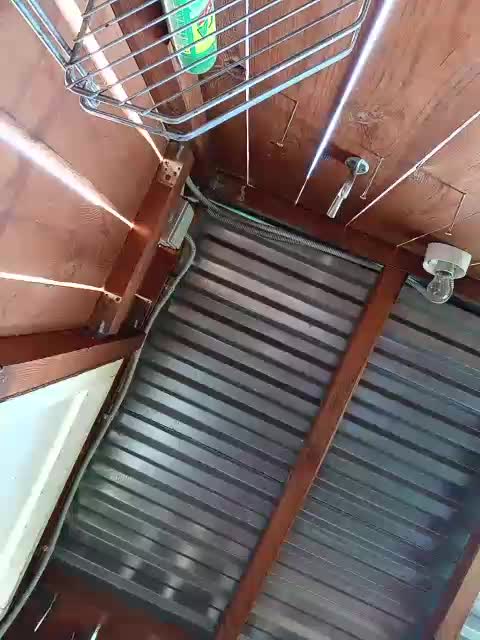 Angelia22 Live Sex May 17, 2026