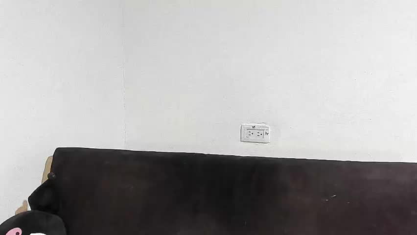 salome_daniel Live Sex May 19, 2026