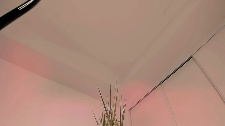 katee_bloss Live Sex May 25, 2026