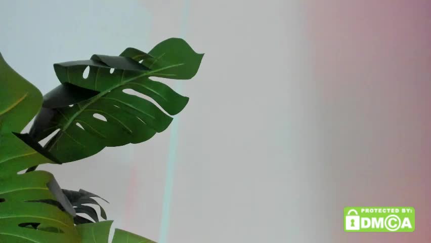 ashllovee_ Live Sex May 26, 2026
