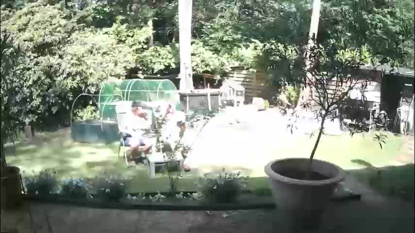 woodwurm Live Sex May 27, 2026