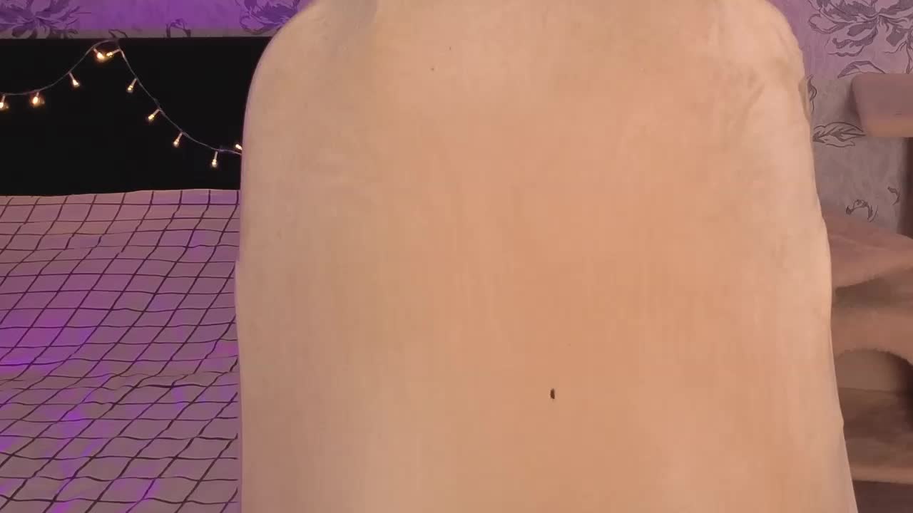 annie-fleur Live Sex June 1, 2026