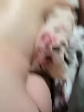foxforsex69 Live Sex June 1, 2026