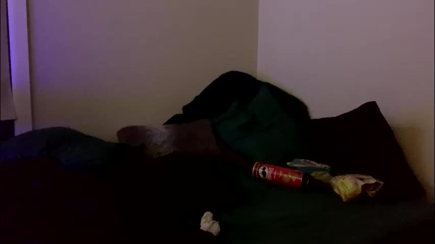intothewoodswego Live Sex June 4, 2026