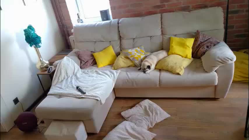 _mari_ Live Sex June 5, 2026