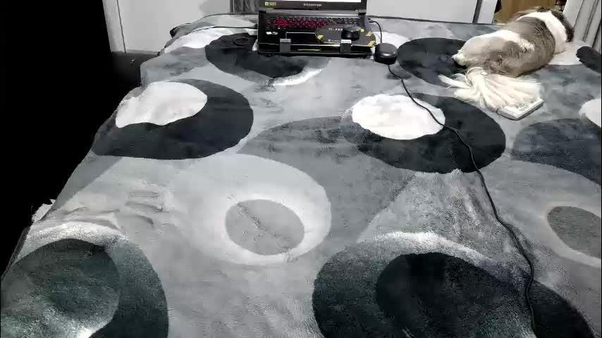 laylabrasil Live Sex June 8, 2026