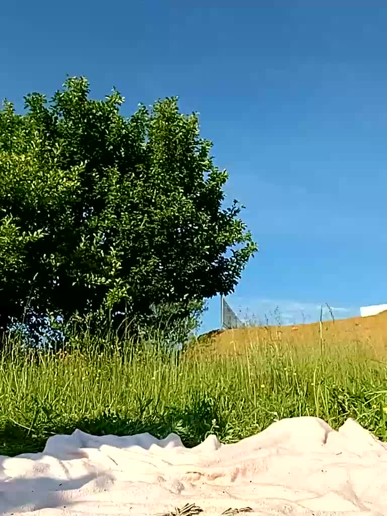 RoxySexy Live Sex June 8, 2026