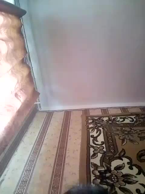 alondra1557 Live Sex June 10, 2026
