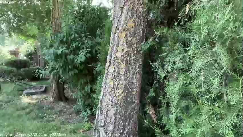 patry333 Live Sex June 11, 2026