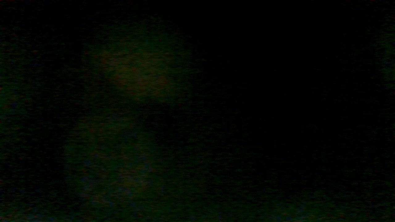 Kelly-Klein Live Sex June 11, 2026