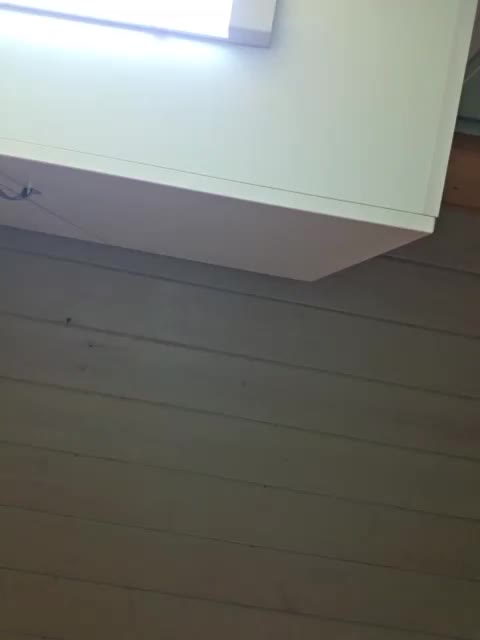 Angelia22 Live Sex June 12, 2026