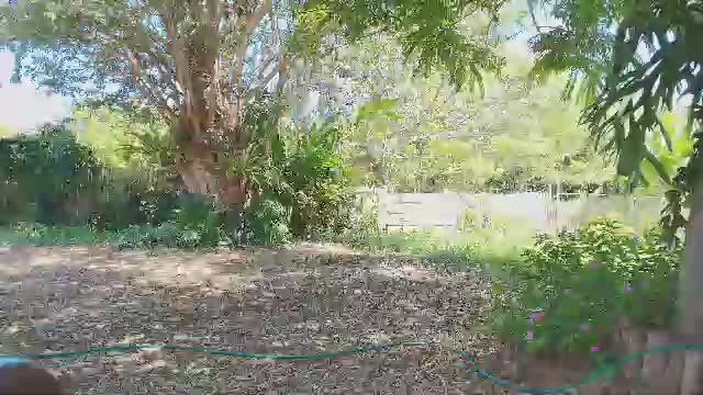 paoguerrax354 Live Sex June 13, 2026