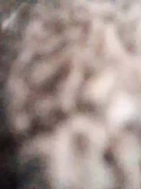 Nika0000 Live Sex June 13, 2026