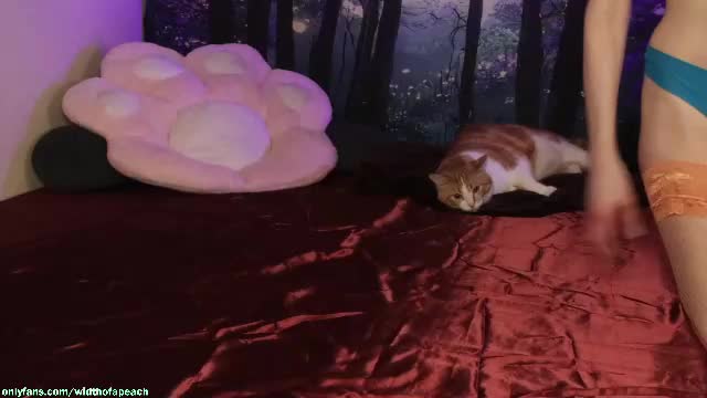 widthofapeach Live Sex June 13, 2026