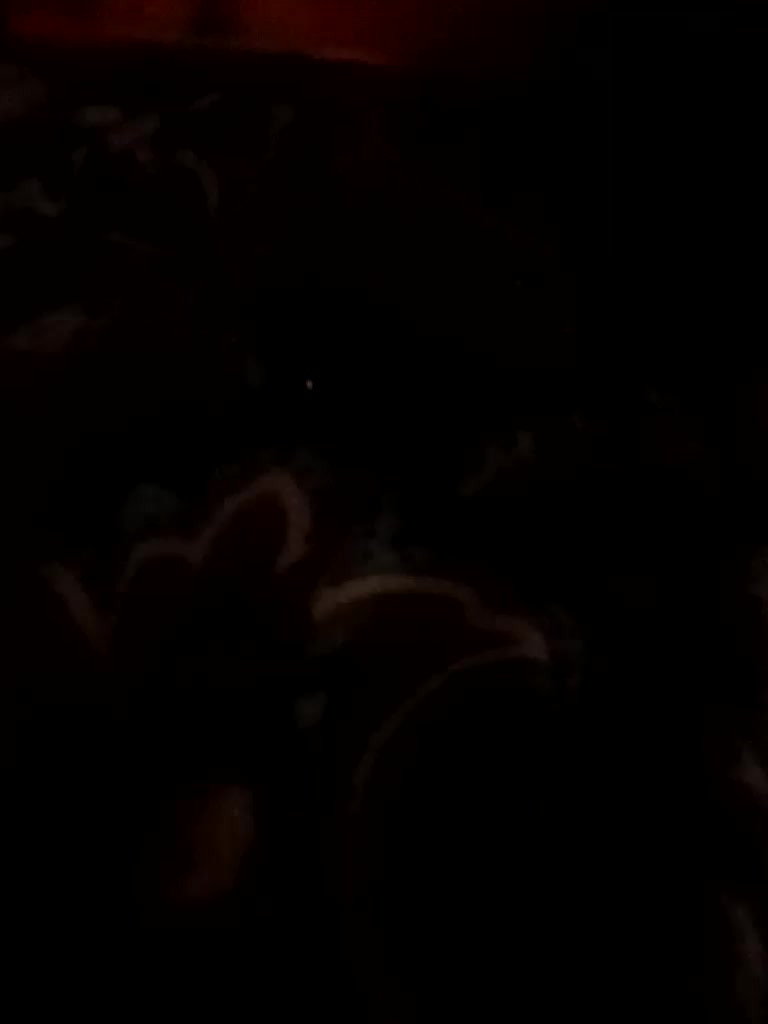 AlexaBaby989 Live Sex June 16, 2026