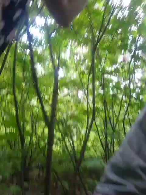 VCHELSIV Live Sex June 25, 2026