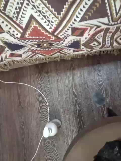 -scyrim- Live Sex June 28, 2026