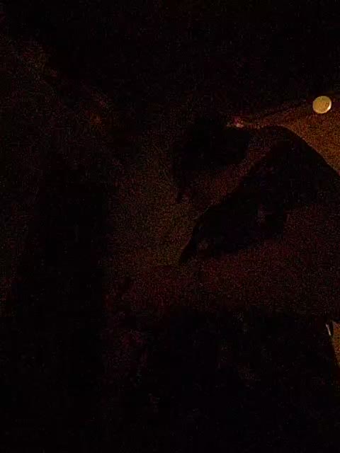 OpenGirl Live Sex July 2, 2026
