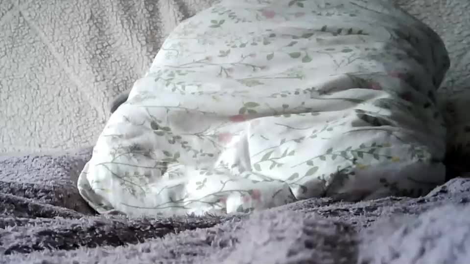 lenorrr Live Sex July 2, 2026