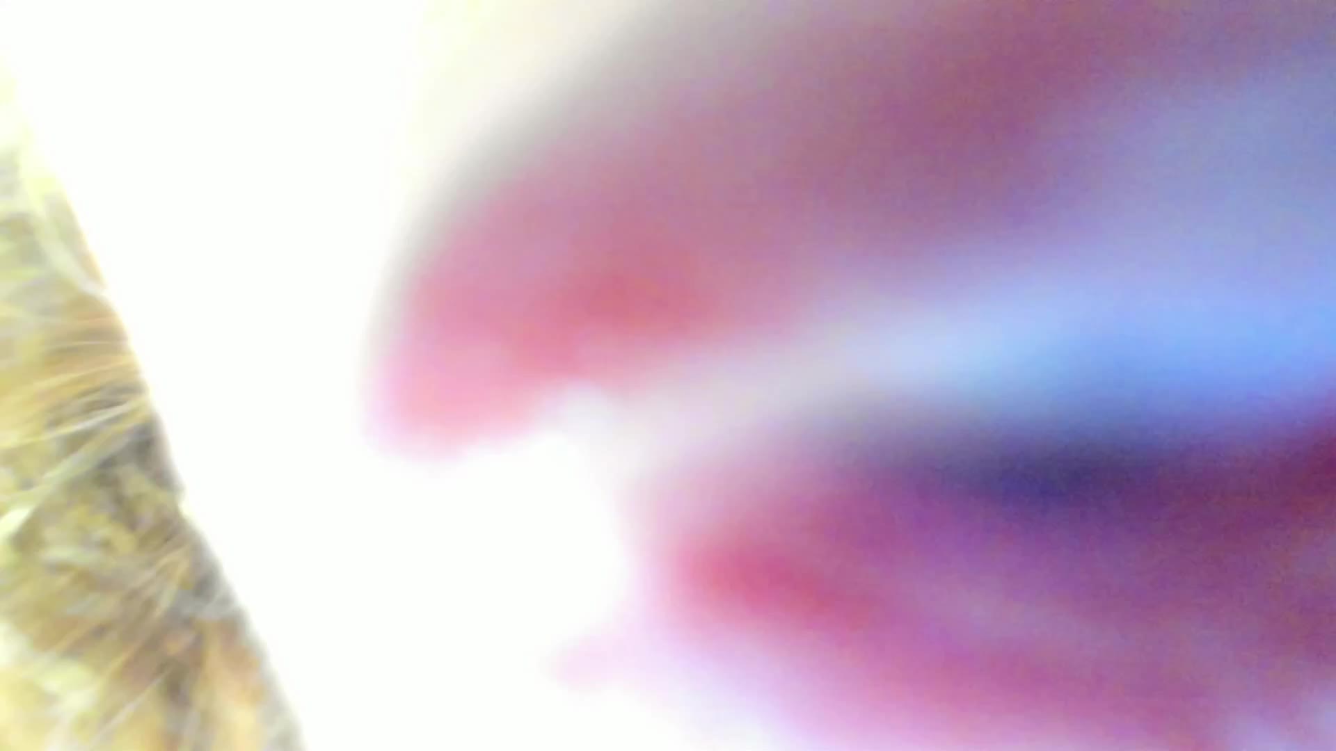 Sky-Kuper Live Sex July 3, 2026