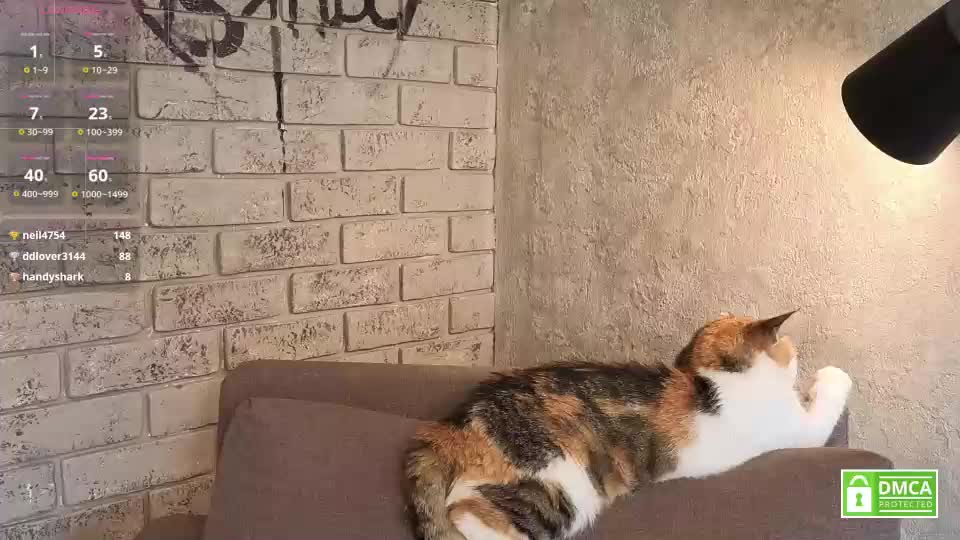 diora_babe Live Sex July 5, 2026