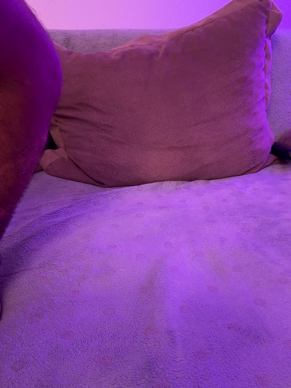 OhHoney Live Sex July 7, 2026