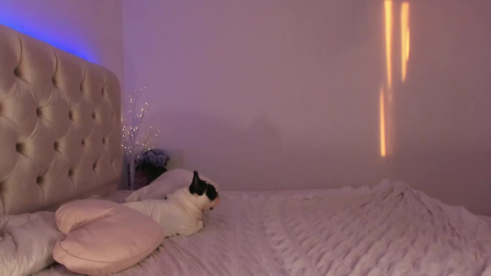 dee_nise Live Sex July 7, 2026