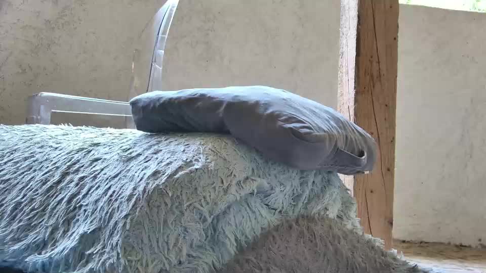 anaworld69 Live Sex July 8, 2026