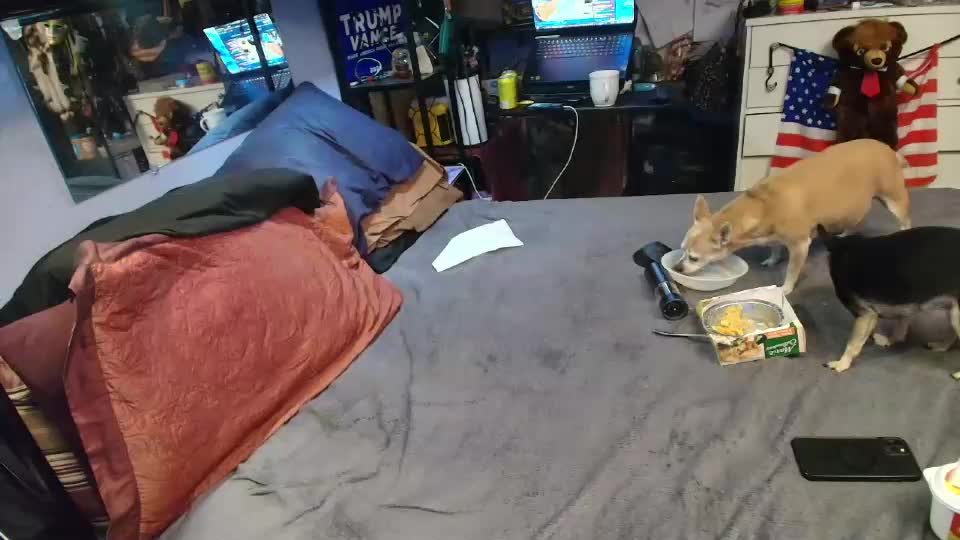 pink_black Live Sex July 9, 2026