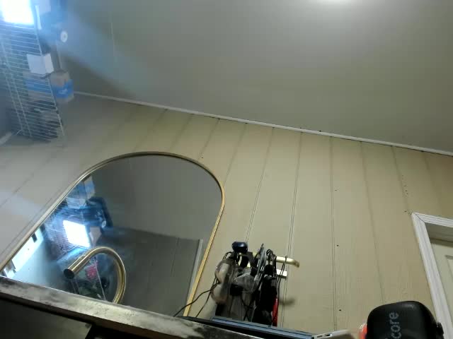 Adellebunny Live Sex July 10, 2026