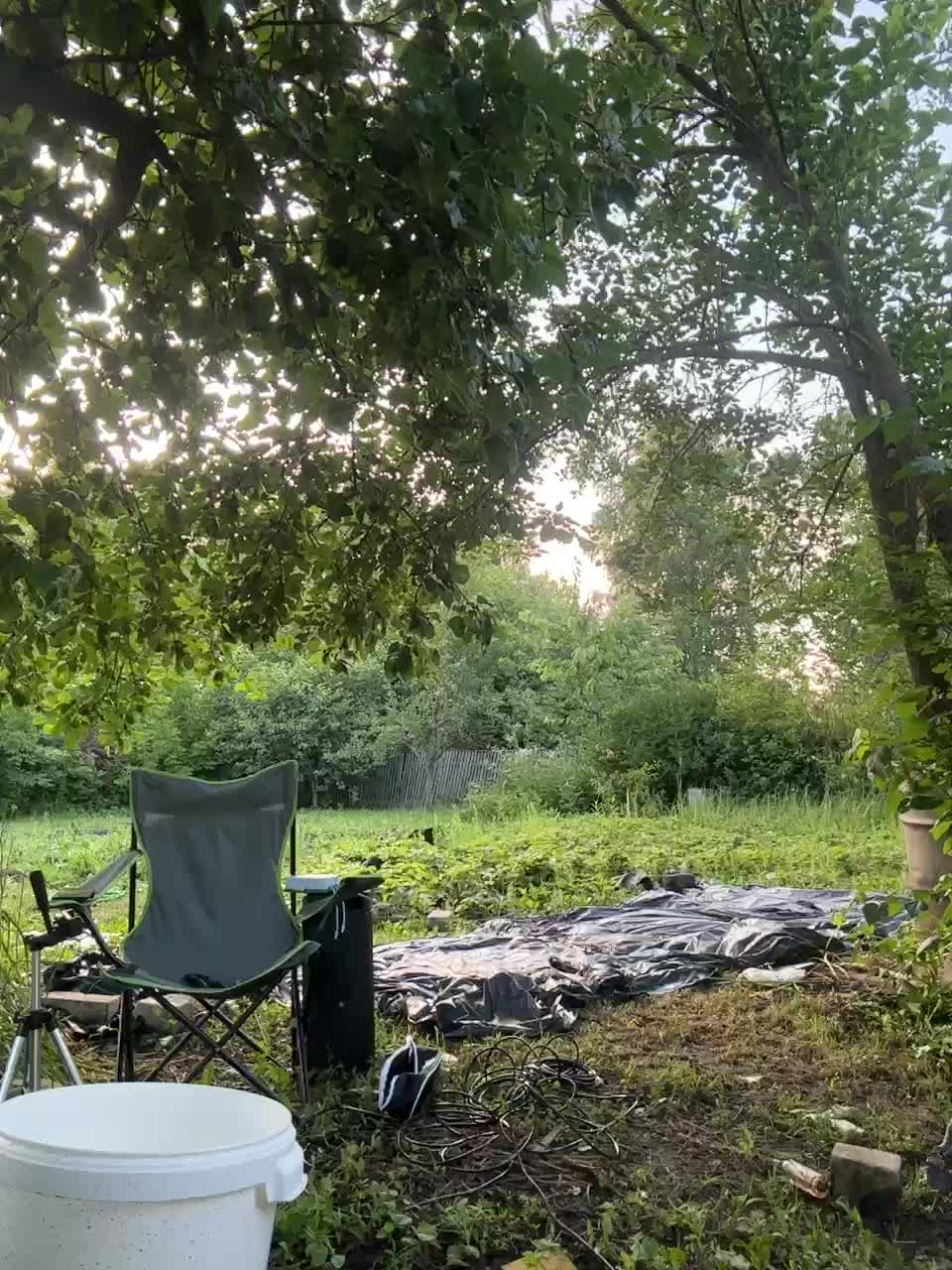 SSaibaliii Live Sex July 11, 2026