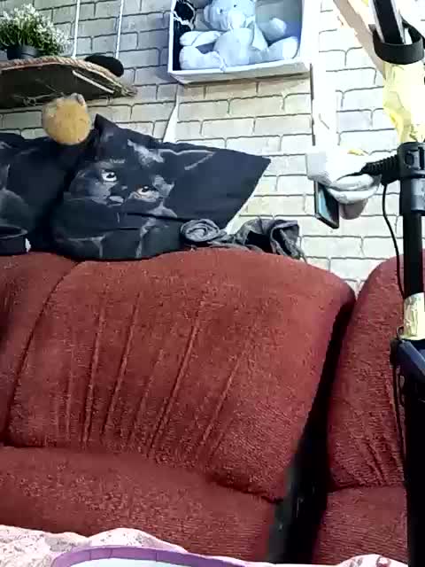 Lina-a-13 Live Sex July 11, 2026
