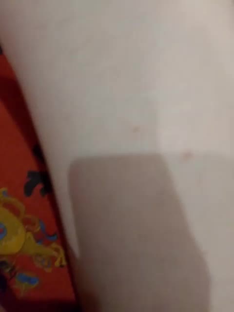 KisssKaaa-Di Live Sex July 12, 2026