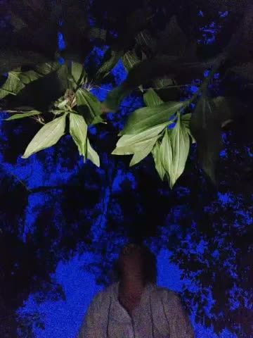 yuliia_3003 Live Sex July 13, 2026