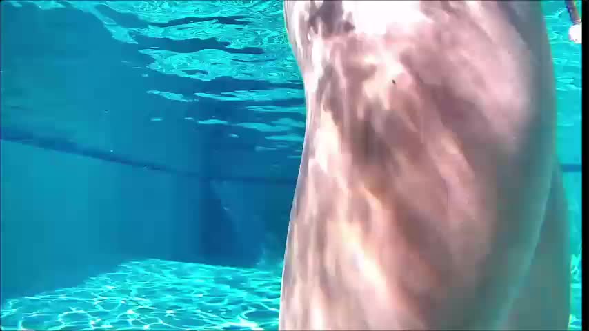 Myliss_ Live Sex July 17, 2026