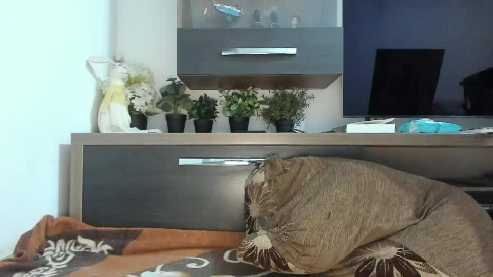 mellbell_ Live Sex July 17, 2026