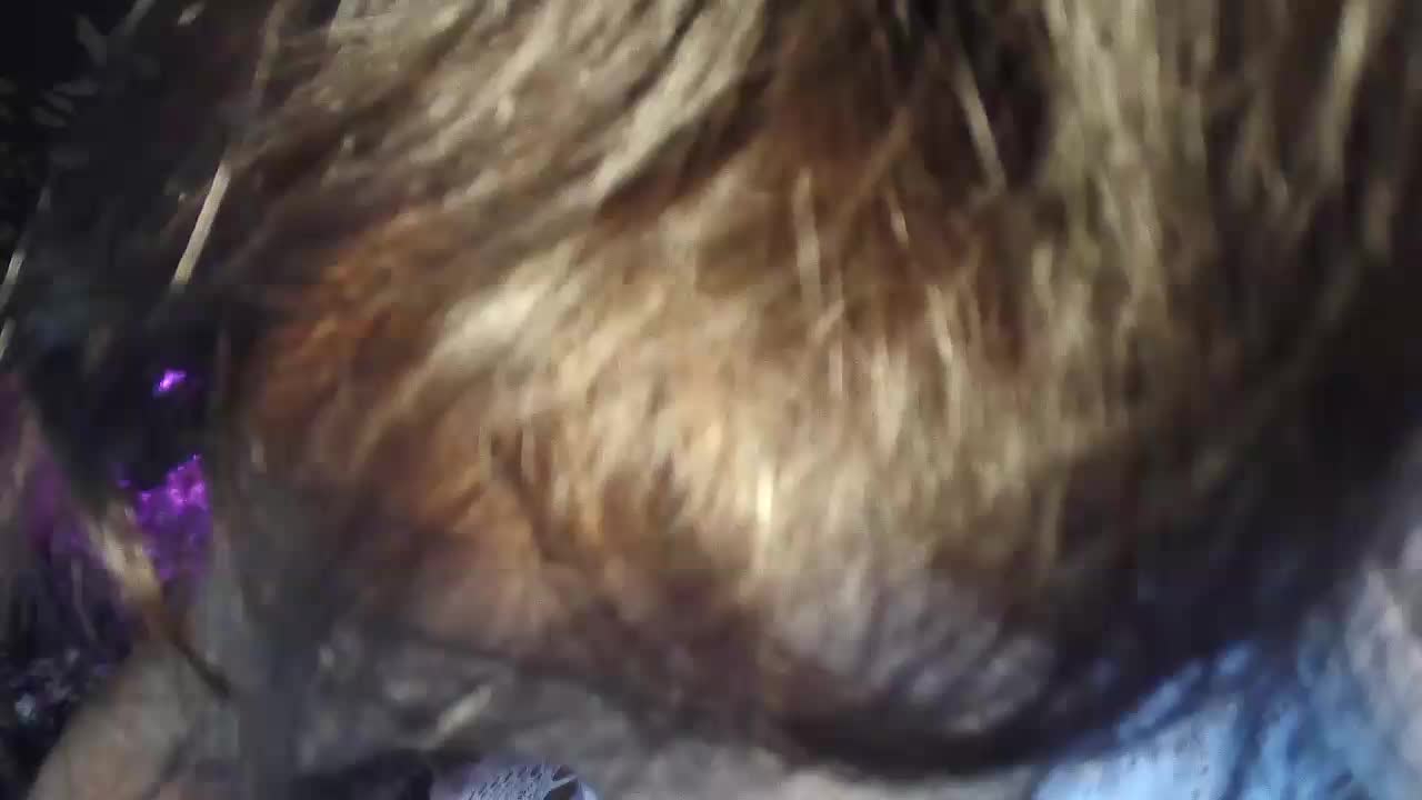 Nixiea Live Sex August 5, 2026