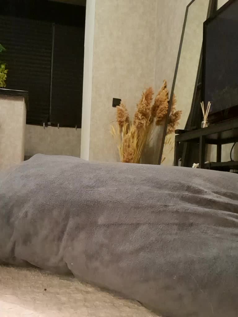 Sofaa Live Sex August 11, 2026