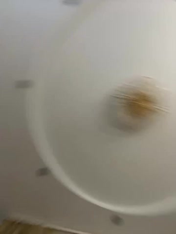 VICTORIA_ Live Sex August 15, 2026